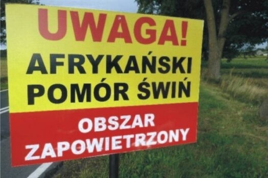 Strefy - zapowietrzona i zagrożona zostaną wprowadzone rozporządzeniem wojewody świętokrzyskiego. Wtedy będzie wiadomo, które miejscowości będą nimi objęte.