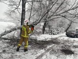 Powalone drzewa, auta w rowach, zimowe awarie i utrudniania oraz akcje strażaków w dzień i w nocy