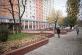 Międzynarodowy Uniwersytet Łódzki: tysiąc obcokrajowców na uczelni! 