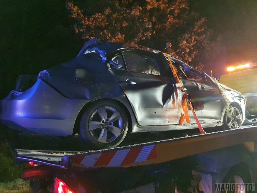 Tragedia w Konradowie pod Głuchołazami. Auto uderzyło w drzewo. Nie żyje 25-letni kierowca