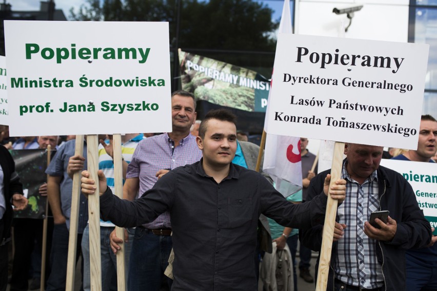 Ekolodzy: Wycinka w Puszczy Białowieskiej trwa w najlepsze
