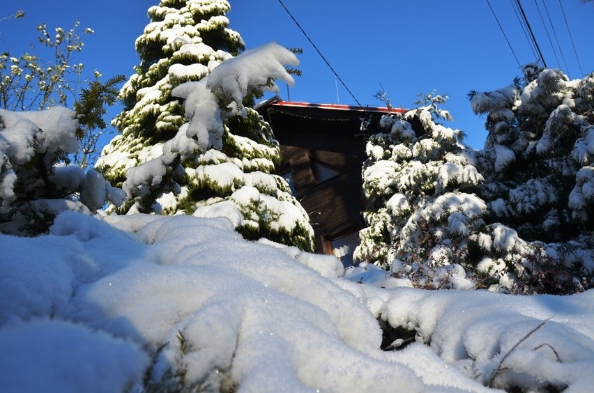 Zima w Szczyrku Salmopolu już na całego. W górach śnieg i ujemna temperatura ZDJĘCIA