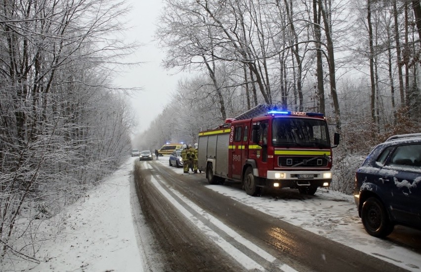 Na drodze z Damna do Damnicy auto wpadło do rowu. Interweniowała straż (wideo ,zdjęcia)