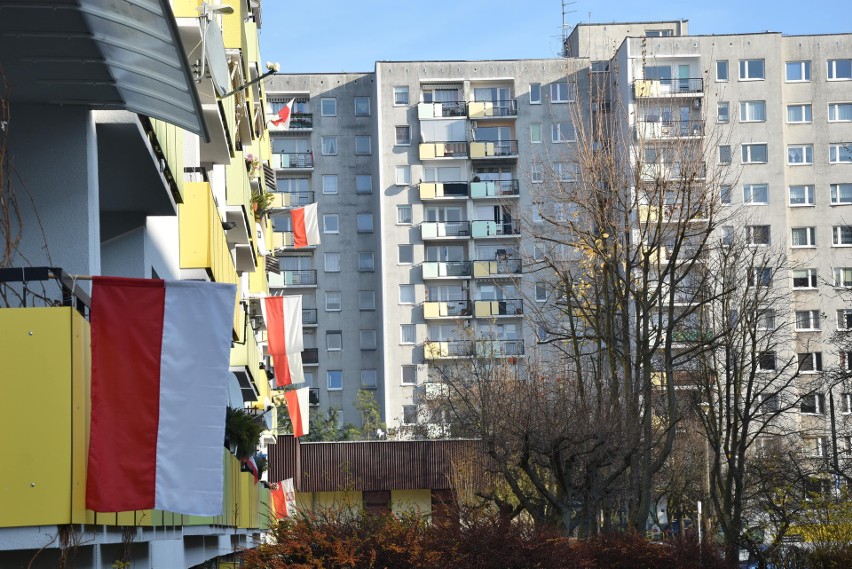 Tak opolanie świętowali rocznicę odzyskania przez Polskę niepodległości. Nie zabrakło biało-czerwonych flag [GALERIA]