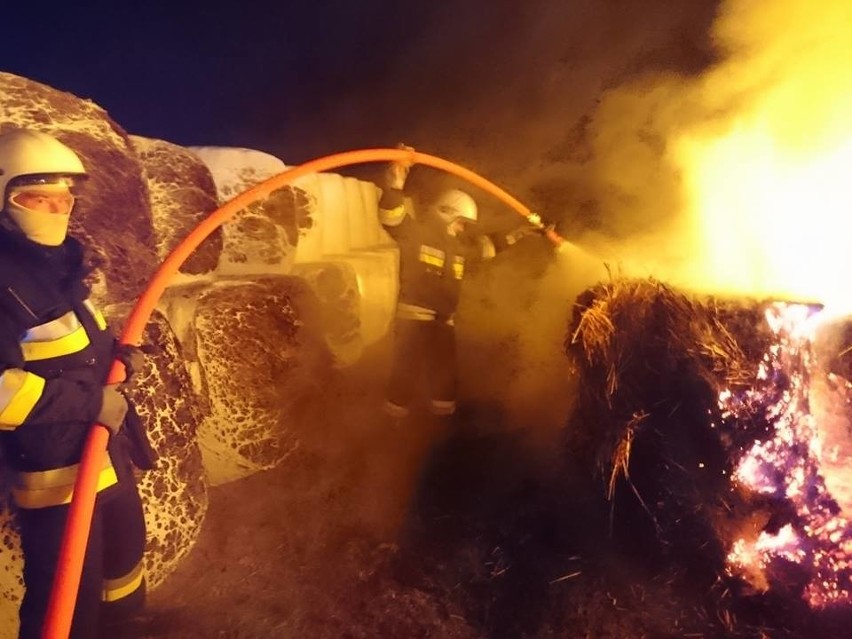 Bele siana w ogniu. Zdjęcia z akcji strażaków