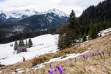 Wielkanoc 2024 w Tatrach. Gdzie na świąteczny weekend z dziećmi w Tatrach? Zobacz ciekawe szlaki dla całych rodzin