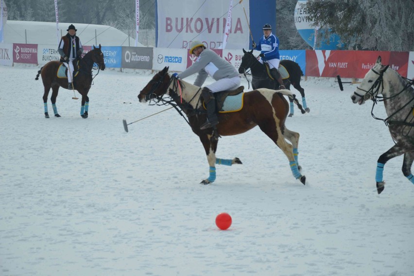 Bukowina Tatrzańska. Grali z polo na śniegu [ZDJĘCIA]