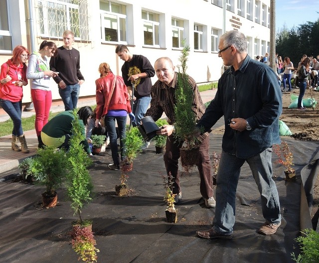 Uczniowie Zespołu Szkół Ogólnokształcących i Technicznych w Miastku posadzili przed szkołą jałowce, tuje i berberysy.