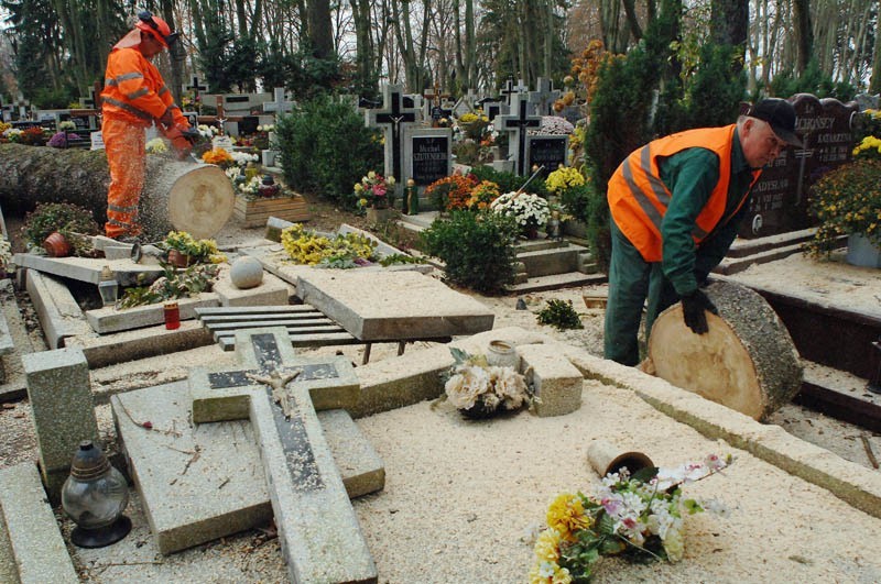 Na groby na koszalińskim cmentarzu komunalnym przewróciło...