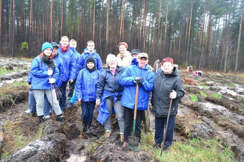 Sadzenie Lasu Europejskiego w Dąbrowie Górniczej w 2015 i...