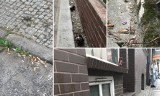 Rozpoczynamy akcję "Brudny Szczecin". "Niektóre fragmenty miasta nie są w ogóle sprzątane" [ZDJĘCIA]