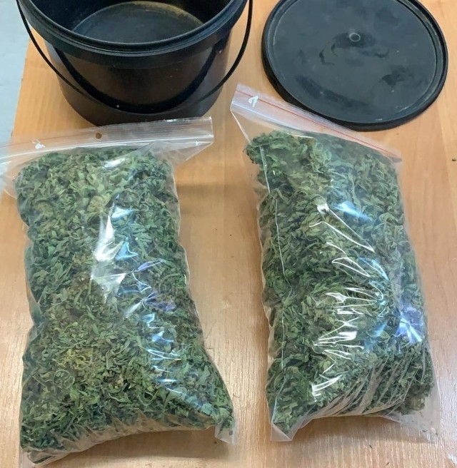 Policjanci zabezpieczyli prawie 350 gramów marihuany, a także dwa krzaki konopi indyjskiej.