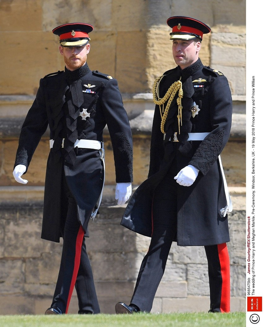 Książę Haryy i książę William

fot. East News