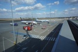 Koronawirus doprowadzi lotnisko w Poznaniu do bankructwa? "Nasza działalność może być mocno ograniczona"