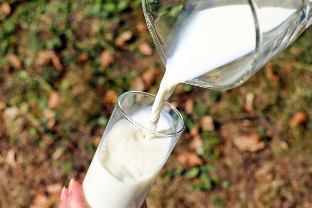 Chociaż mleko należy do bardzo zdrowych produktów spożywczych, zawiera bowiem wapń, potas, magnez, fosfor oraz cynk, to w pewnych przypadkach może mieć destrukcyjny wpływ na organizm. Sprawdź, przy jakich schorzeniach nie jest zalecane picie mleka. Szczegóły na kolejnych slajdach galerii.