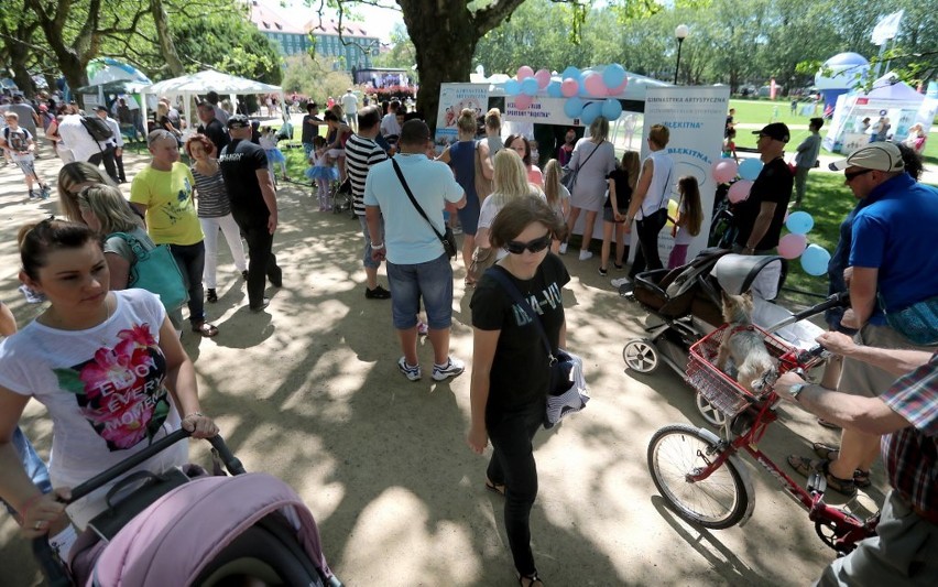 Organizacje pozarządowe na Jasnych Błoniach "Pod Platanami" [ZDJĘCIA]