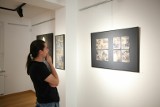 Wystawa "Buscy Artyści dla Buska" w Galerii Sztuki Willa Polonia. Zobacz zdjęcia