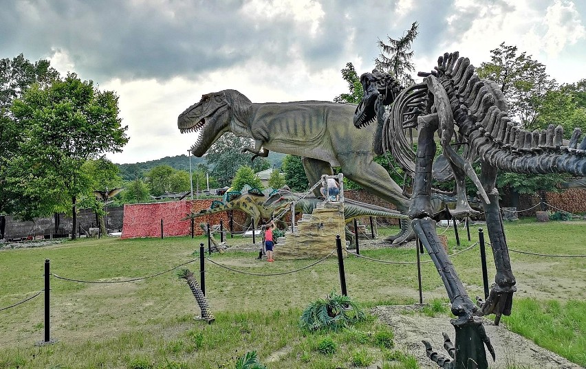 Kraków. Gigantyczne, poruszające się dinozaury przed Halą Cracovii [ZDJĘCIA]
