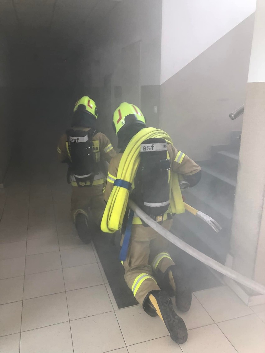 Szkolenie dla strażaków z powiatu grójeckiego. Ćwiczyli prowadzenie działań w budynku. Zobacz zdjęcia