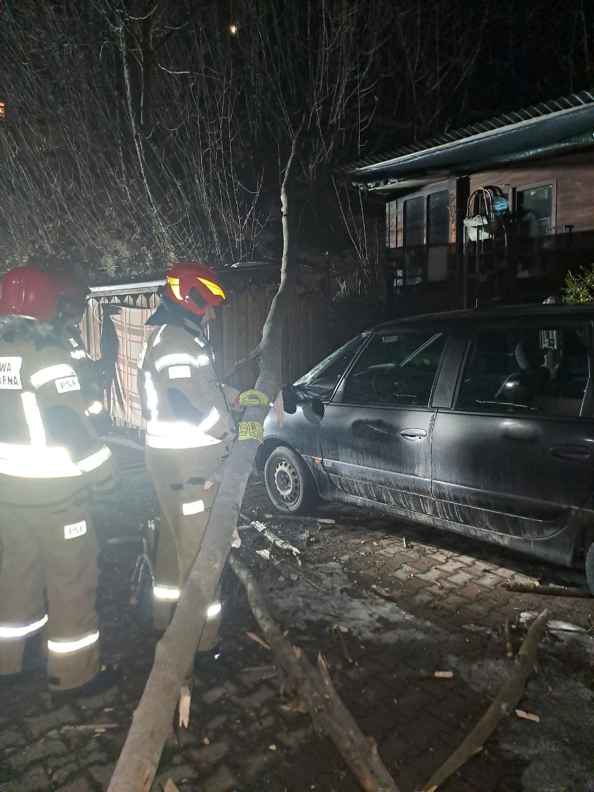Na Ciągłówce w Zakopanem drzewo spadło na samochód