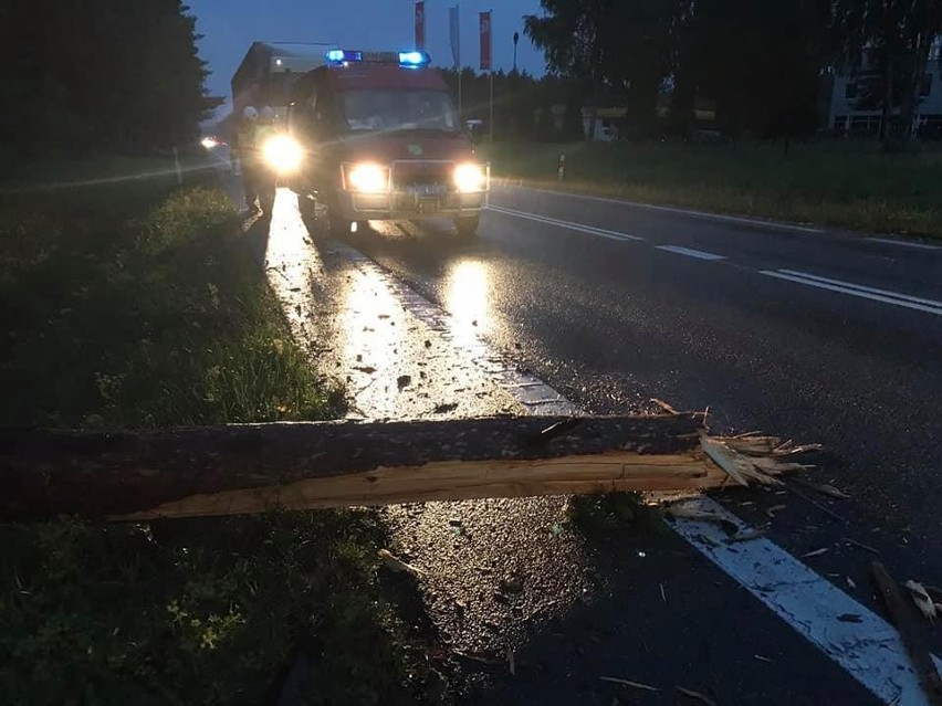 Potężne burze nad powiatem koneckim. Wiele złamanych drzew. Jedno spadło na drogę krajową numer 74 