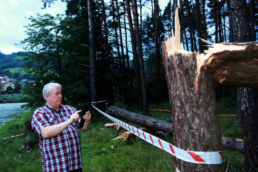 Piwniczna. 40 sekund horroru. Dobę po katakliźmie zniszczony las przeraża [ZDJĘCIA]