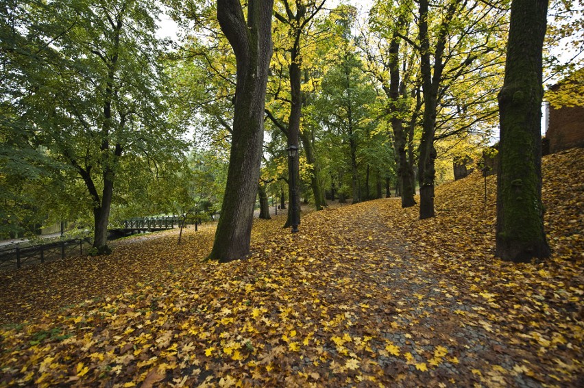 Piękny park w Koszalinie w jesiennej szacie.
