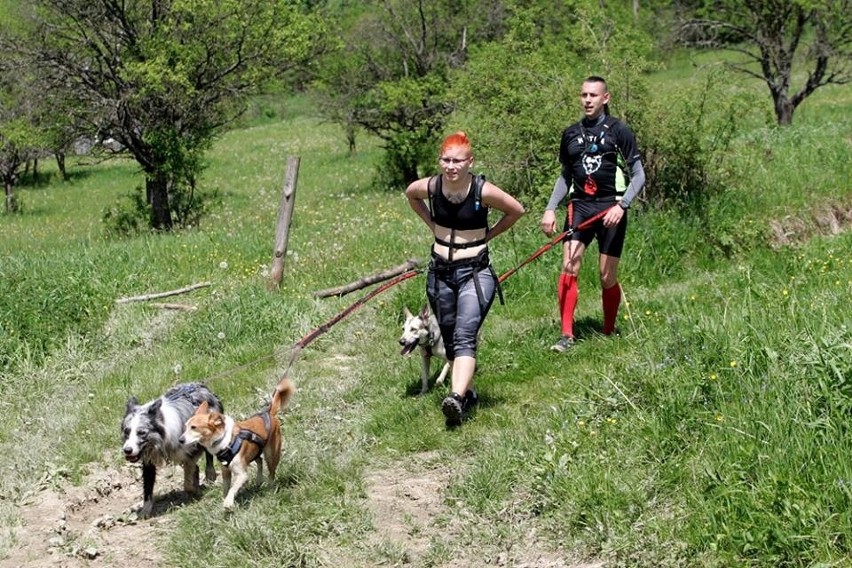 Tak było na trasach ubiegłorocznych Mistrzostw Polski w...