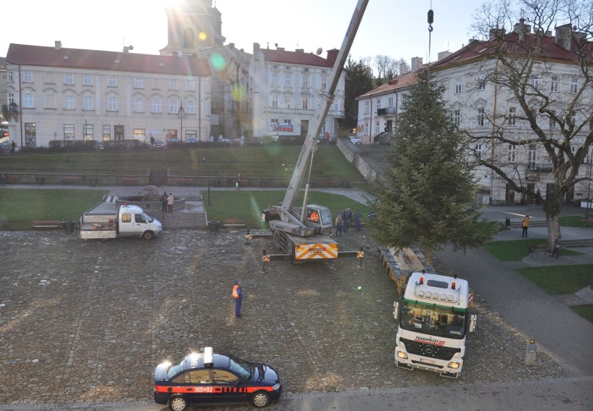 Świąteczna choinka została ustawiona na Rynku w Przemyślu....