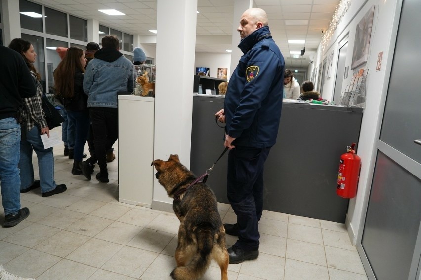 Krakowscy Strażnicy Miejscy przygarnęli na akcję "mrozy" psa...