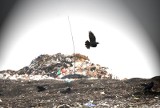 Wywóz śmieci na wysypisko do Hryniewicz będzie tańszy