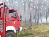 Odrzywół. Urząd Marszałkowski przekaże dotację na zakup nowego samochodu Ochotniczej Straży Pożarnej 