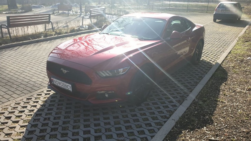 Ford mustang z 2017 roku. Właściciel prosi o pomoc. Ktoś...