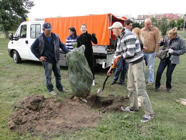 Pracownicy radomskiej firmy, w czynie społecznym, posadzili w sobotę drzewka w Parku Południowym.