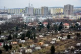 Koczowisko Romów w Poznaniu to efekt systemowego wykluczenia. "Zajmowanie pustostanów wynika z niemożności wejścia w system mieszkaniowy"