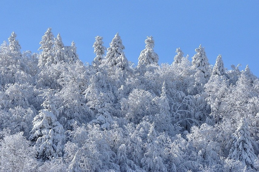 Przystanek Bieszczady Kazimierza Nóżki i Marcina Sceliny. Kapryśna zima