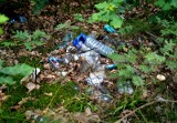 Śmieci nad wodą i w lesie w rejonie Radomia! Zobaczcie zdjęcia