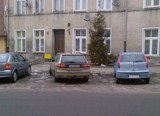 Mistrzowie parkowania opanowali Inowrocław [zdjęcia]