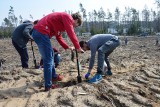 Wspólnie sadzimy las. Akcja Nadleśnictwa Lipusz i gminy Parchowo