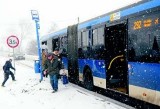 Kraków. Niebezpieczny przystanek. Pasażerowie wysiadają do rowu