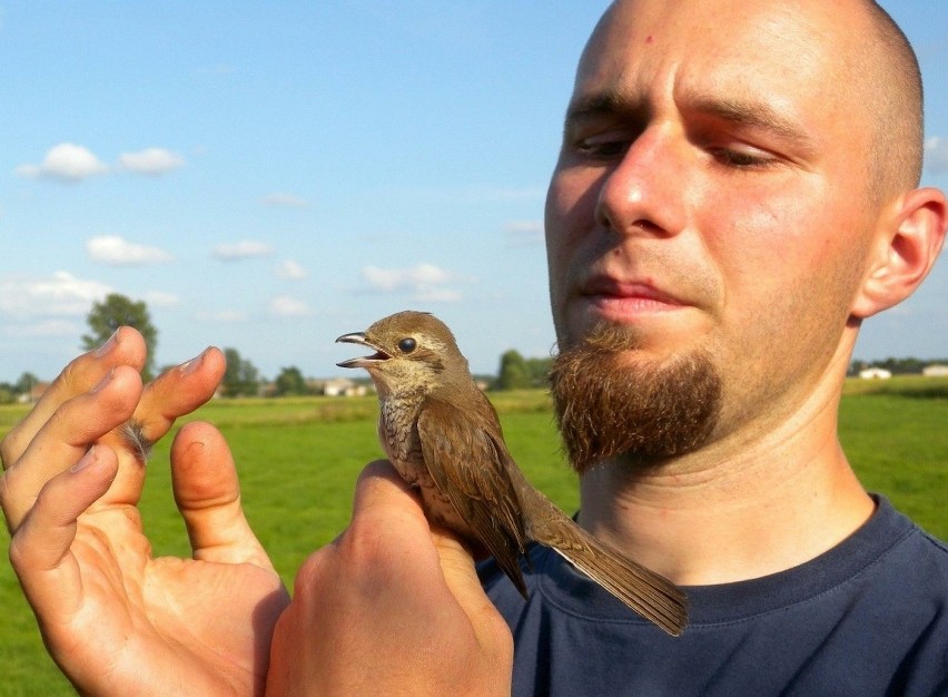 Dr Marcin Tobółka z gąsiorkiem, niewielkim ptakiem wędrownym