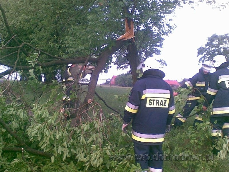 W akcji brali udział strażacy z 4 jednostek OSP:  dwa...