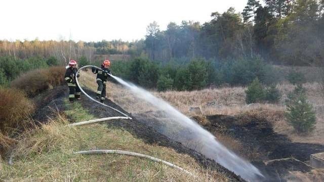 W ubiegłym tygodniu grudziądzcy strażacy zmagali się z pożarami w lesie komunalnym, które wynikały z podpaleń. Po tej serii przyszła kolejna - tym razem dotycząca terenu powiatu grudziądzkiego