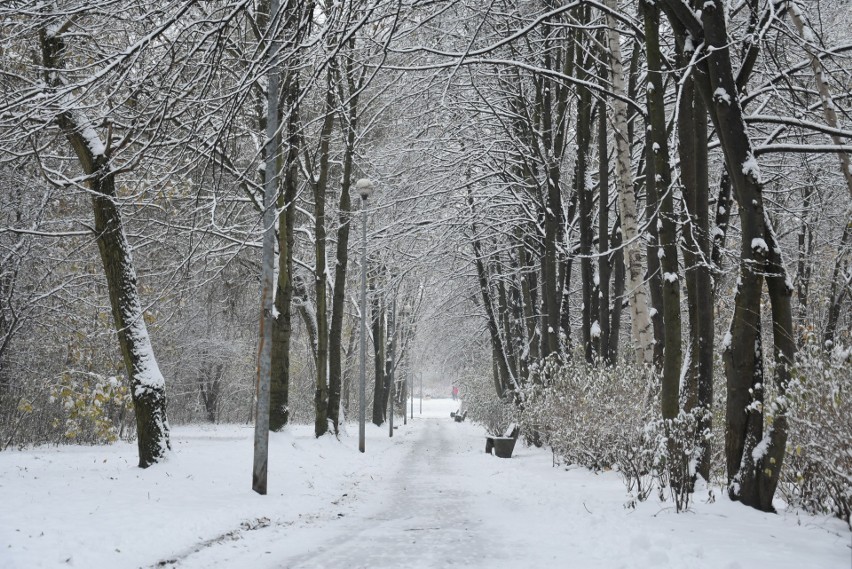 Zima w Dolnie Trzech Stawów w Katowicach....