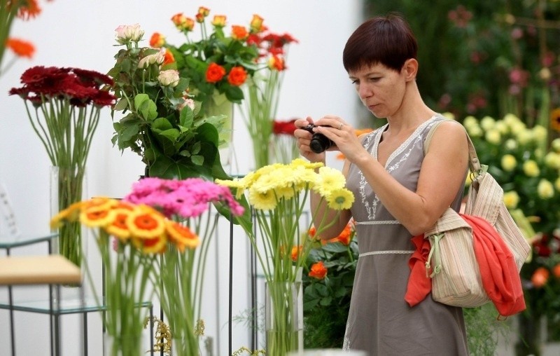 Wystawa kwiatów i roślin ozdobnych