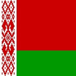 Oficjalna flaga Białorusi nie pojawia się ani na Basowiszczach, ani na wiecach poparcia dla represjonowanej białoruskiej opozycji. Tak flaga, jak i godło Białorusi nawiązują do sowieckiej symboliki