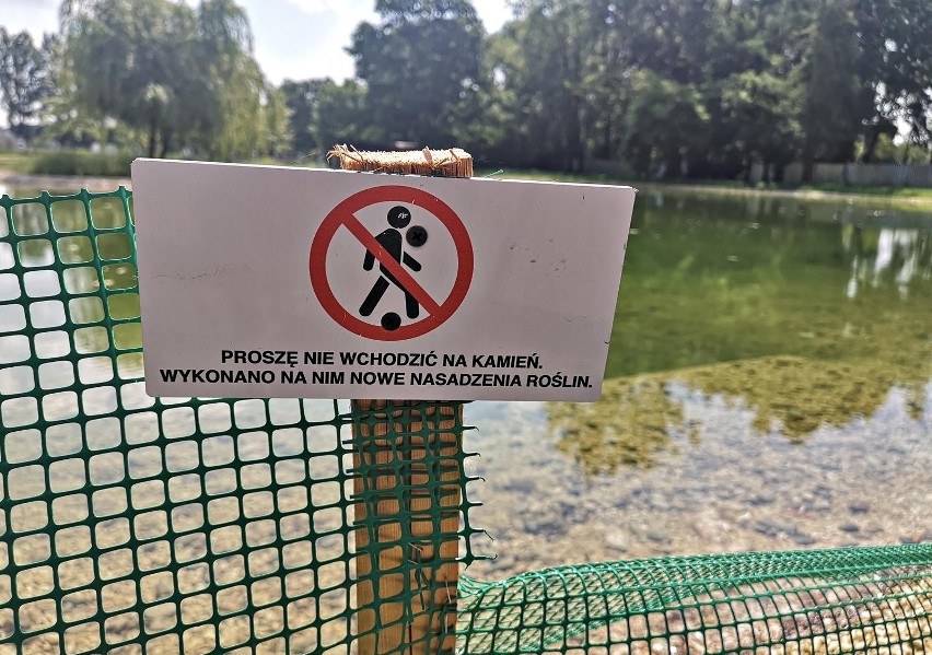 Kraków. Kąpią się w nowym stawie w Parku Lotników mimo zakazu [ZDJĘCIA]