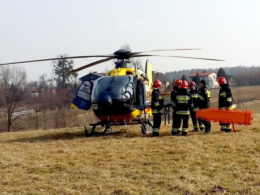 Drzewo przygniotło 78-latka. Mężczyzna chciał je ściąć