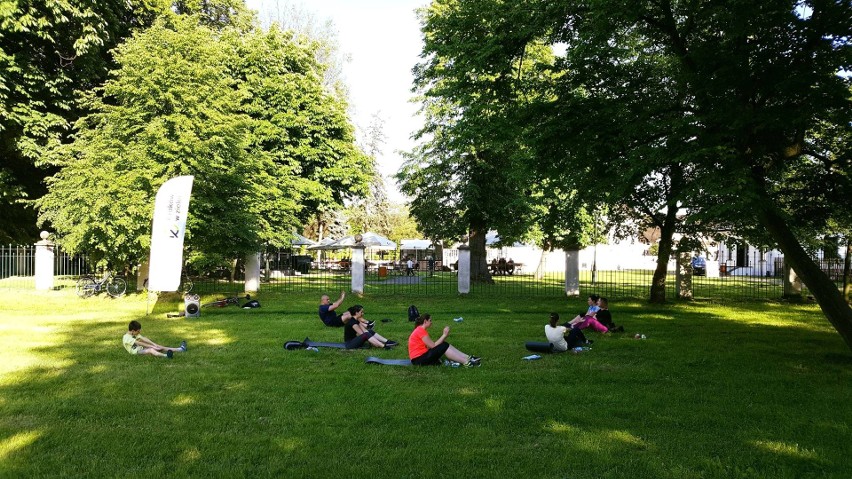 Kraków. Ćwicz w zieleni! Zajęcia w krakowskich parkach. Za darmo  