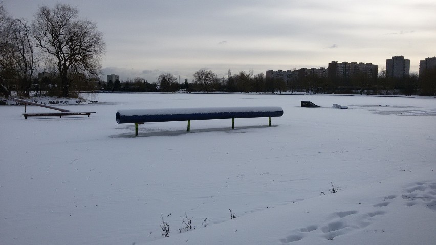 Świętochłowice: Zima zawitała nad staw Skałka [ZDJĘCIA]